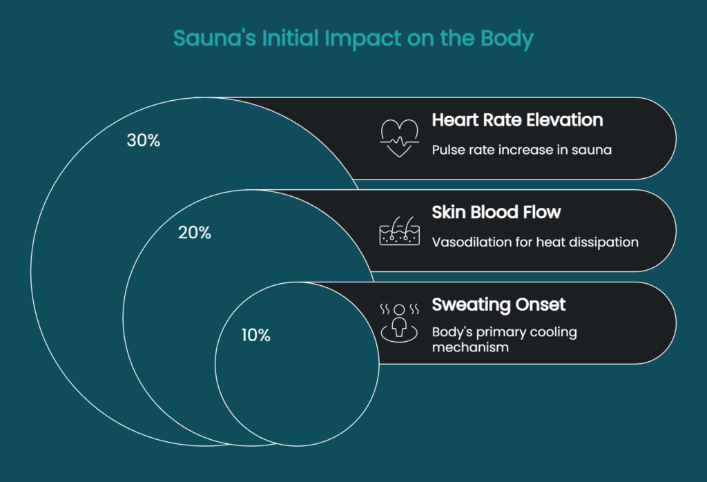 Diagram showing early physiological responses during a sauna session, including heart rate elevation, increased skin blood flow through vasodilation, and the onset of sweating for thermoregulation.
