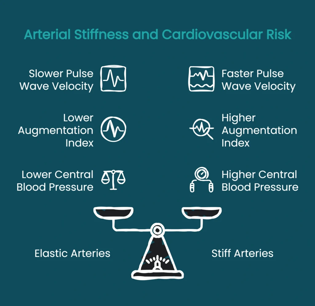 Diagram comparing elastic versus stiff arteries showing pulse wave velocity, blood pressure, and augmentation index differences