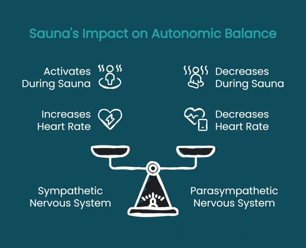 Diagram comparing sympathetic versus parasympathetic nervous system activity during and after sauna heat exposure