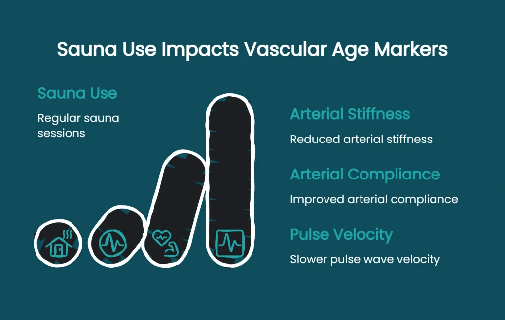 Diagram showing sauna use effects on arterial stiffness, arterial compliance, and pulse wave velocity