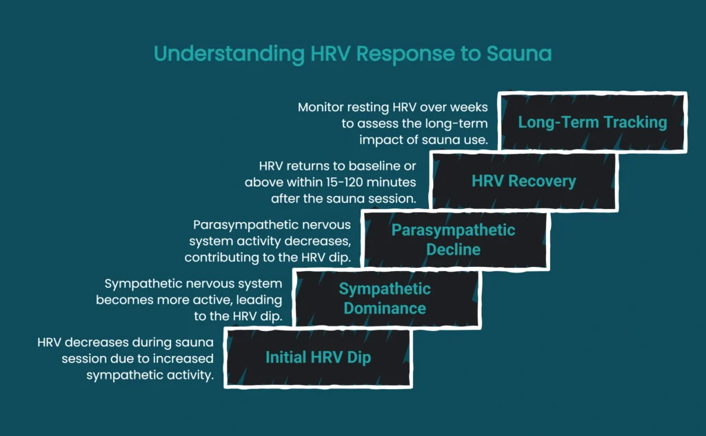 Step-by-step diagram of HRV response to sauna: initial dip, sympathetic rise, recovery, long-term tracking