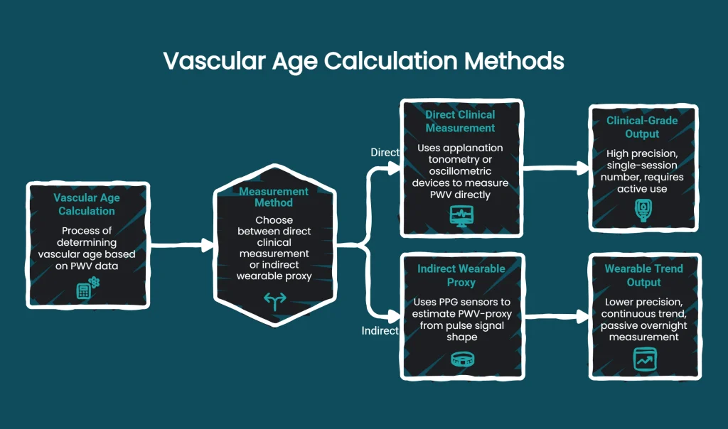 Flowchart showing vascular age calculation methods: clinical PWV measurement versus wearable proxy estimation
