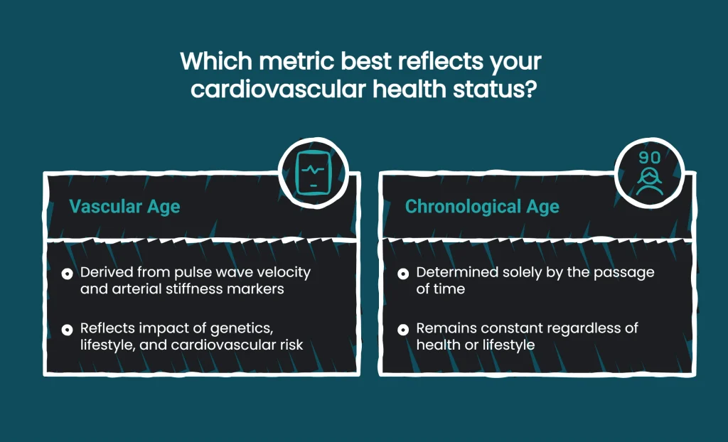 Diagram comparing vascular age versus chronological age using pulse wave velocity and arterial stiffness markers