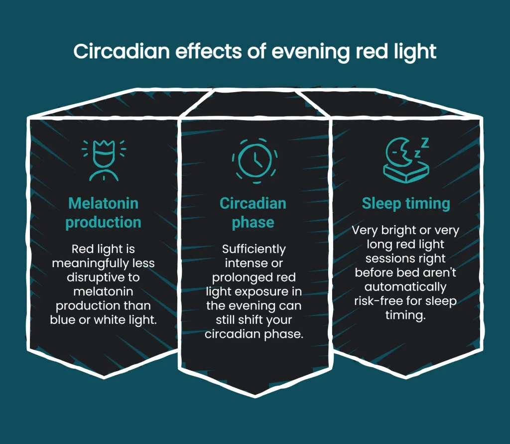 Diagram showing evening red light effects on melatonin, circadian phase, and sleep timing