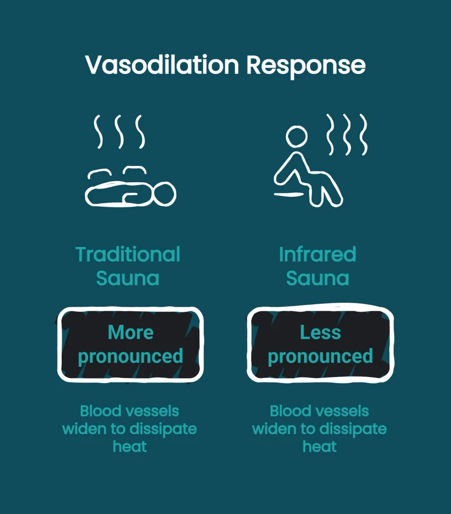 Diagram comparing vasodilation response between traditional and infrared sauna heat exposure